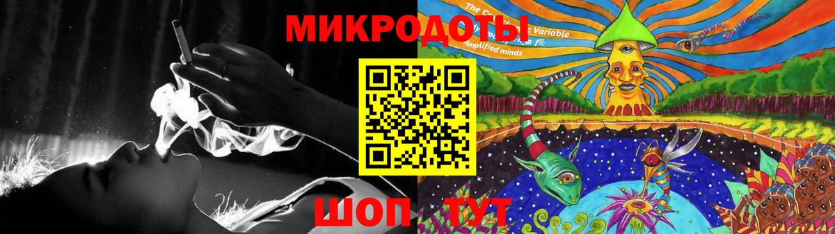 Галлюциногенные грибы Psilocybine cubensis Дедовск