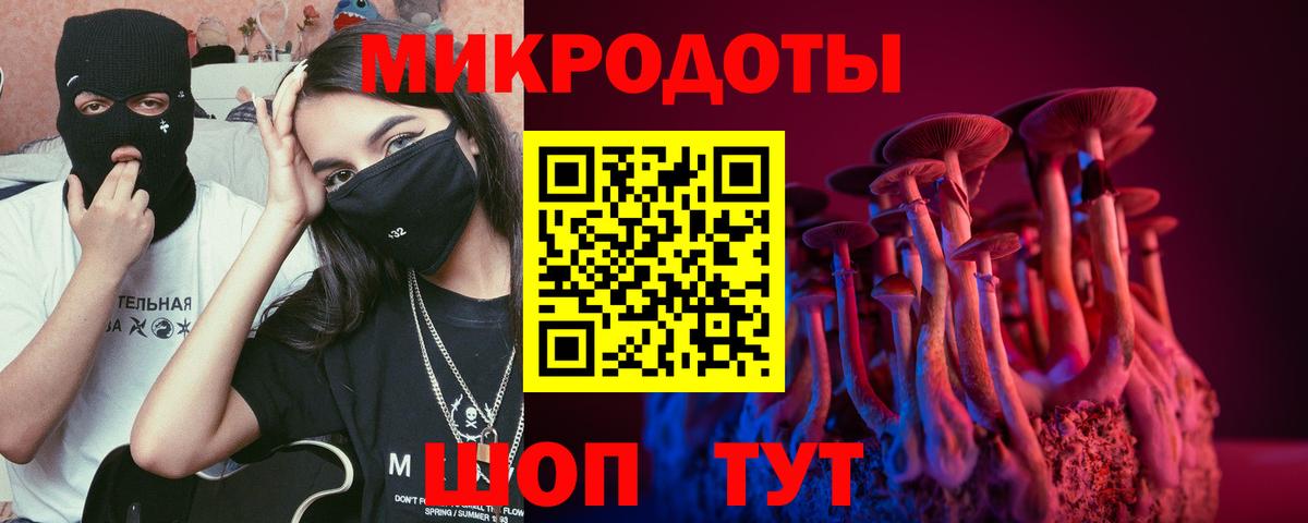где купить наркоту  Галлюциногенные грибы прущие грибы  Вход с VPN  Дедовск  Псилоцибиновые грибы мухоморы 